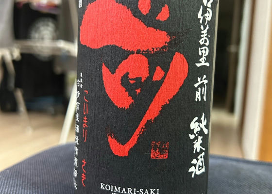 Koimari Check-in 1