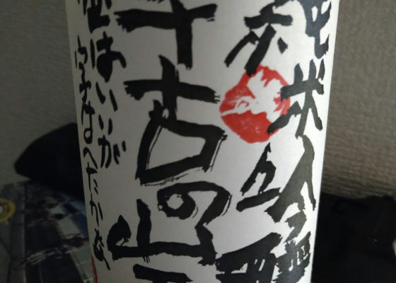 alt 1