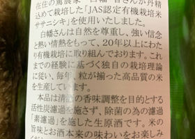 alt 3
