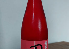 alt 1
