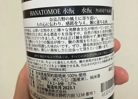 Hanatomoe Check-in 3