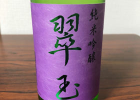 alt 3