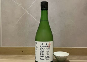 alt 1