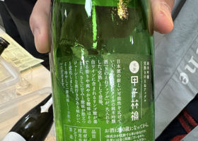 alt 2