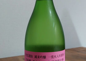 alt 1