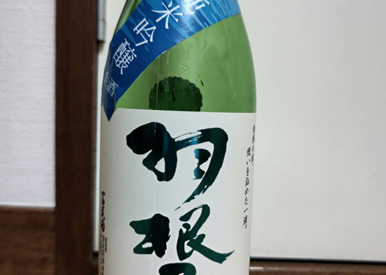 alt 1