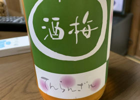 alt 1