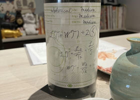 alt 1