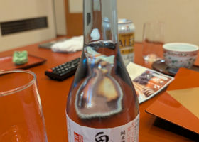 alt 3