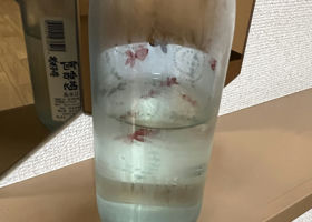 alt 3