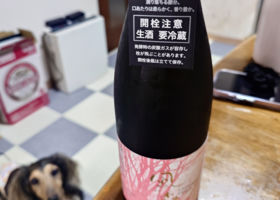 風の森 チェックイン 1