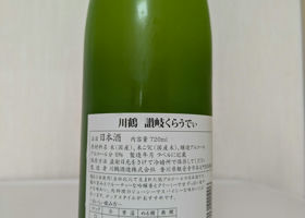 alt 1