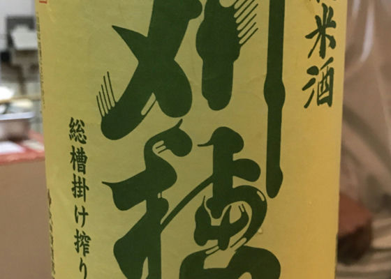 alt 1