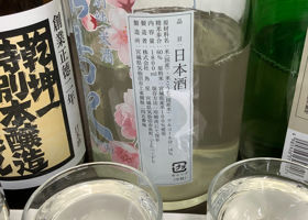 alt 3