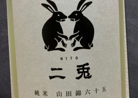 alt 1