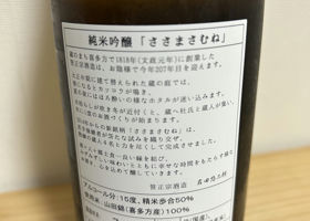 alt 3
