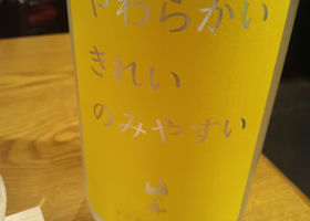 alt 1