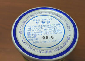 alt 2
