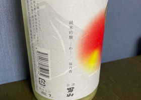 alt 3
