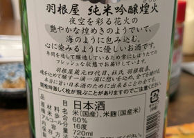 alt 1