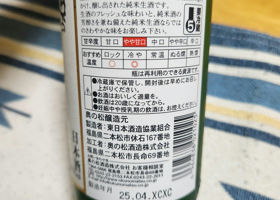 alt 3