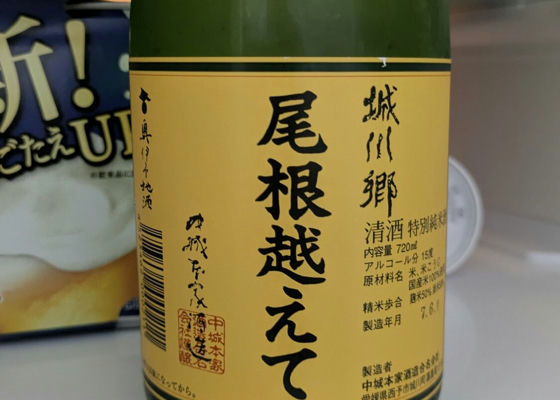 alt 1