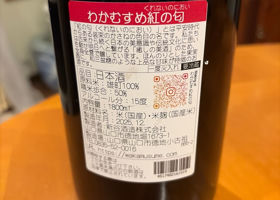 わかむすめ チェックイン 2