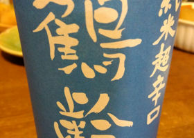 alt 1