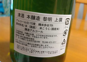 alt 3
