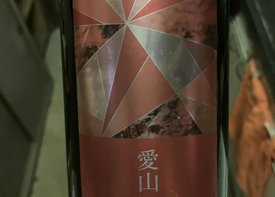 alt 1
