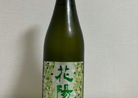 alt 1