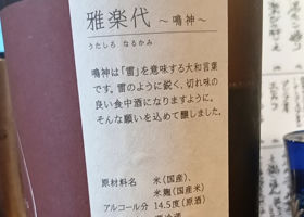 雅楽代 チェックイン 2