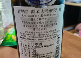 alt 2