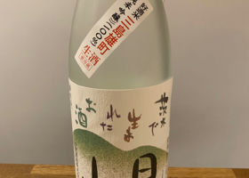 alt 1