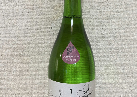 alt 1