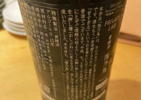 alt 3