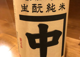 alt 1