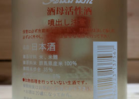 alt 3