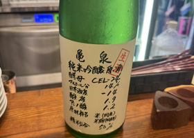 alt 1