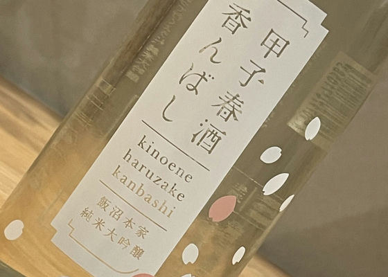 alt 1