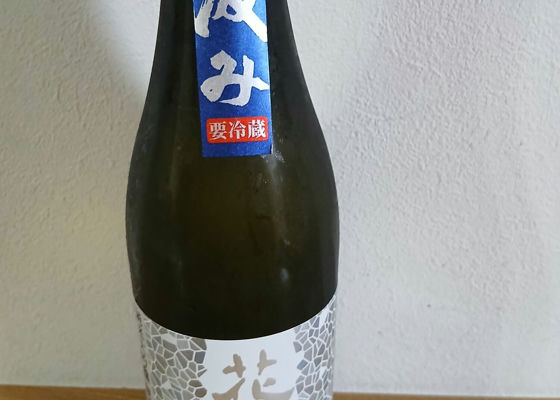 alt 1