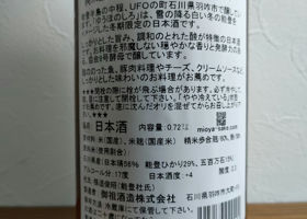 alt 3