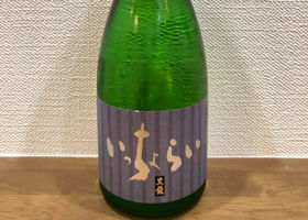 alt 1
