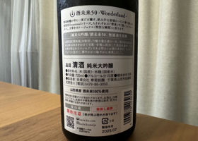 alt 3
