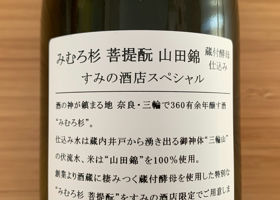 alt 3