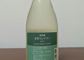 alt 3