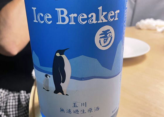 alt 1