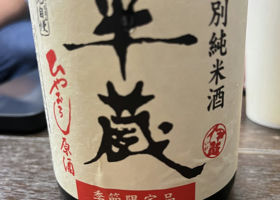 alt 1