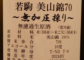 alt 3