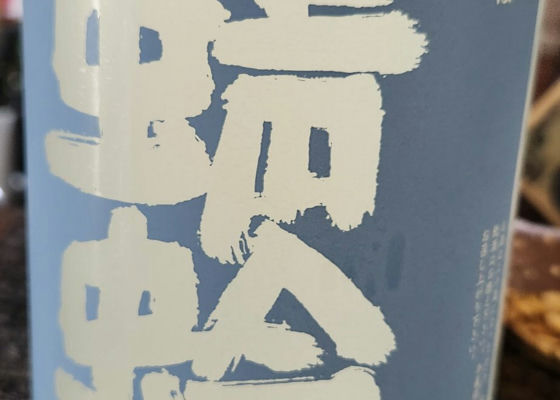 alt 1